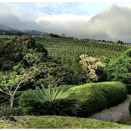Coffee Garden Ranch Costa Rica Lejlighed Concepcion  Eksteriør billede