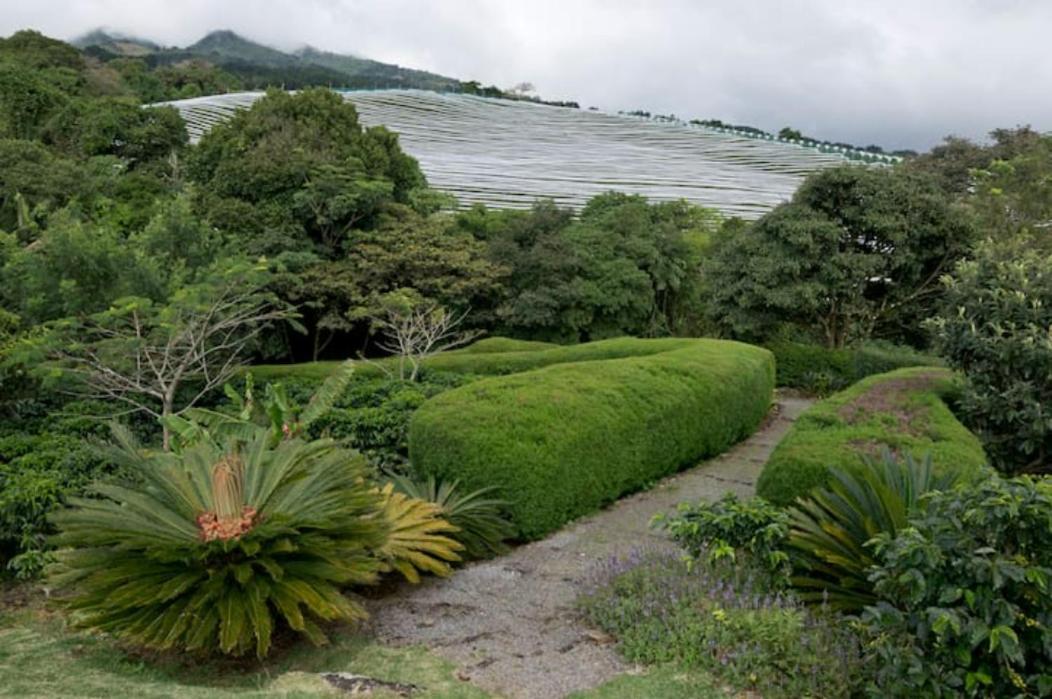Coffee Garden Ranch Costa Rica Lejlighed Concepcion  Eksteriør billede