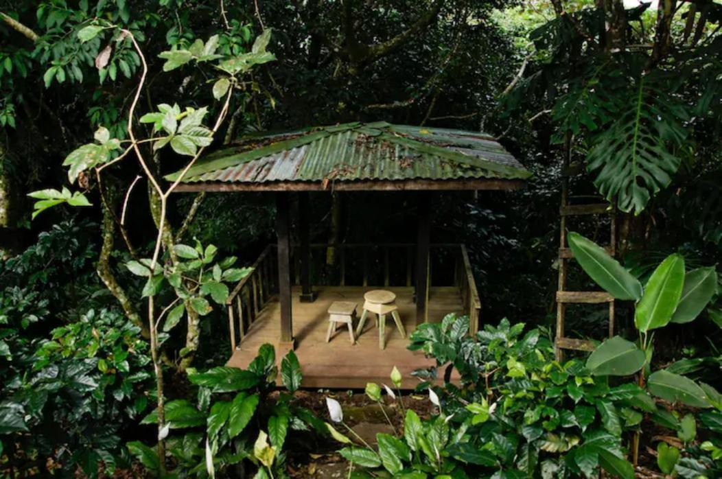 Coffee Garden Ranch Costa Rica Lejlighed Concepcion  Eksteriør billede