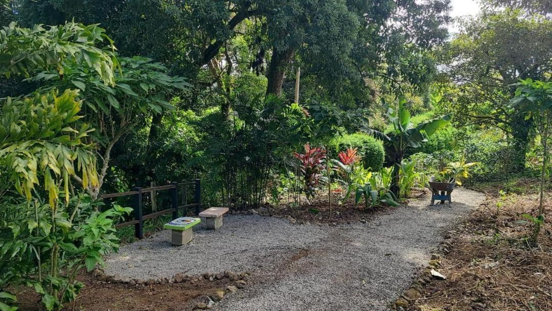 Coffee Garden Ranch Costa Rica Lejlighed Concepcion  Eksteriør billede