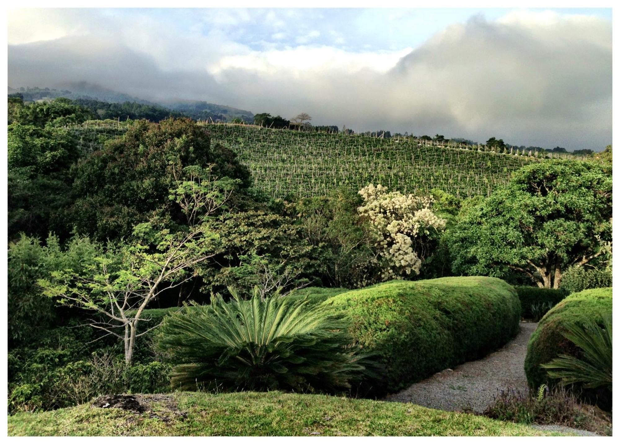 Coffee Garden Ranch Costa Rica Lejlighed Concepcion  Eksteriør billede
